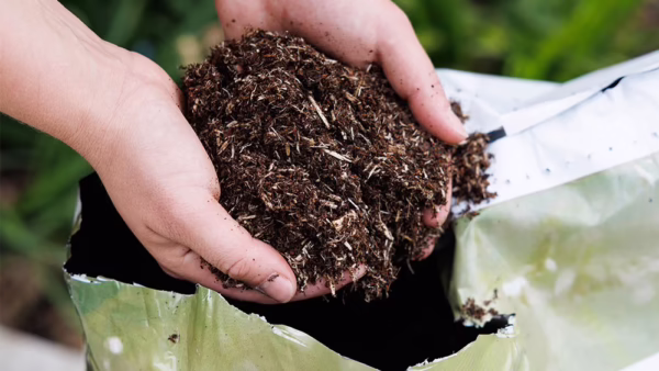 Crocus All Purpose Compost